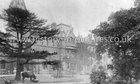 Home & Colonial College, Lordship Lane, Wood Green, London. c.1905.